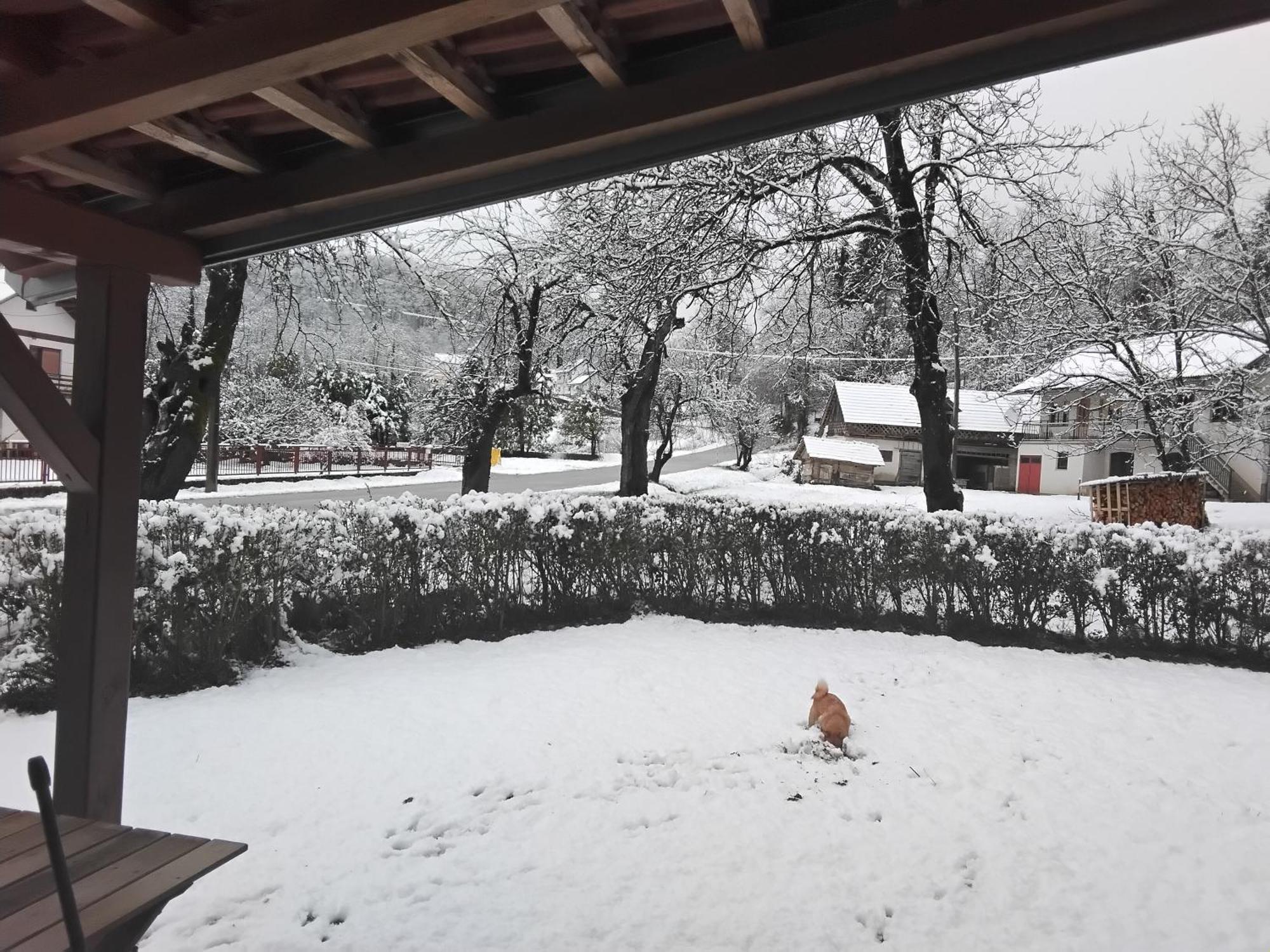 Sobe Pri Valentinu Kwatera prywatna Kostanjevac